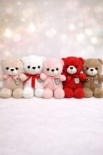 Valentine Day Offer 15